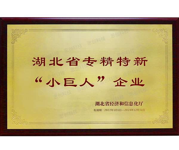 湖北省專精特新“小巨人”企業